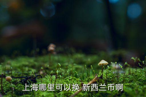 中國(guó)銀行新西蘭分行,才建平中國(guó)銀行新西蘭分行
