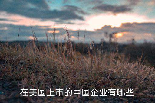 在美國(guó)上市的中國(guó)企業(yè)有哪些