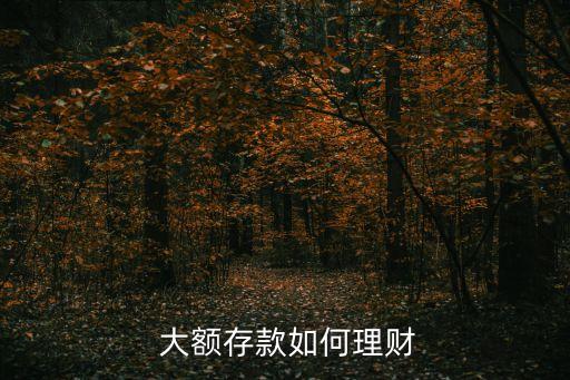  大額存款如何理財