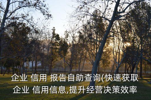 企業(yè) 信用 報告自助查詢(快速獲取企業(yè) 信用信息,提升經營決策效率
