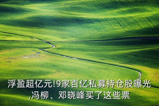 浮盈超億元!9家百億私募持倉(cāng)股曝光,馮柳、鄧曉峰買了這些票