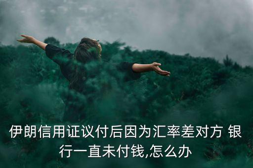 伊朗信用證議付后因為匯率差對方 銀行一直未付錢,怎么辦