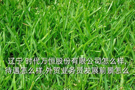 遼寧 時(shí)代萬恒股份有限公司怎么樣,待遇怎么樣,外貿(mào)業(yè)務(wù)員發(fā)展前景怎么...