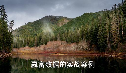 贏富數據的實戰(zhàn)案例