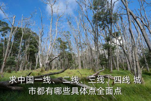 求中國一線、 二線、三線、四線 城市都有哪些具體點全面點