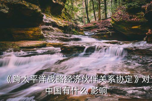 《跨太平洋戰(zhàn)略經(jīng)濟伙伴關系協(xié)定》對中國有什么 影響