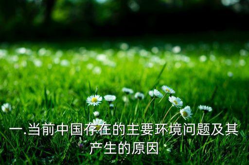 一.當前中國存在的主要環(huán)境問題及其產(chǎn)生的原因