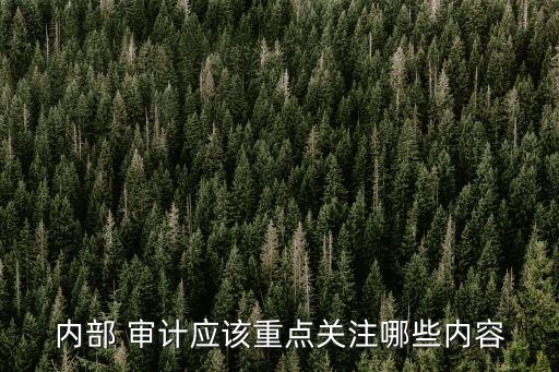 內(nèi)部 審計應(yīng)該重點(diǎn)關(guān)注哪些內(nèi)容