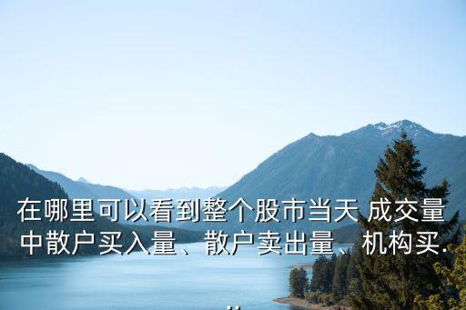 在哪里可以看到整個股市當天 成交量中散戶買入量、散戶賣出量、機構(gòu)買...