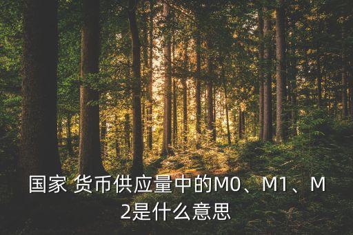 國家 貨幣供應量中的M0、M1、M2是什么意思