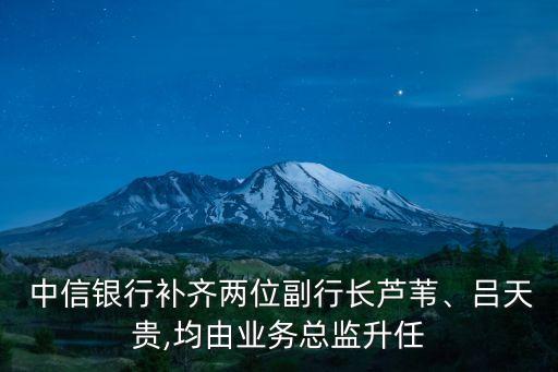  中信銀行補(bǔ)齊兩位副行長蘆葦、呂天貴,均由業(yè)務(wù)總監(jiān)升任
