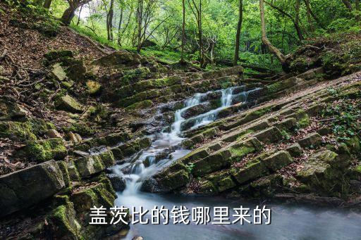 蓋茨比的錢(qián)哪里來(lái)的