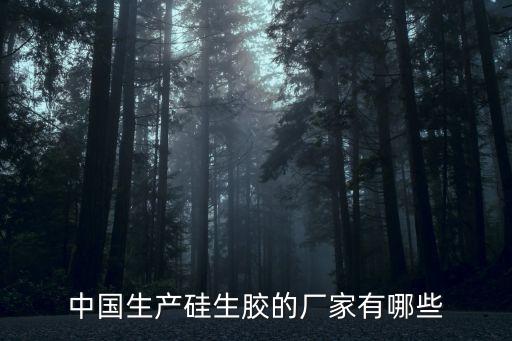 中國(guó)生產(chǎn)硅生膠的廠家有哪些