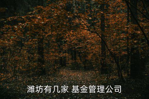濰坊有幾家 基金管理公司