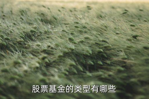 股票基金的類(lèi)型有哪些