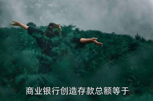  商業(yè)銀行創(chuàng)造存款總額等于