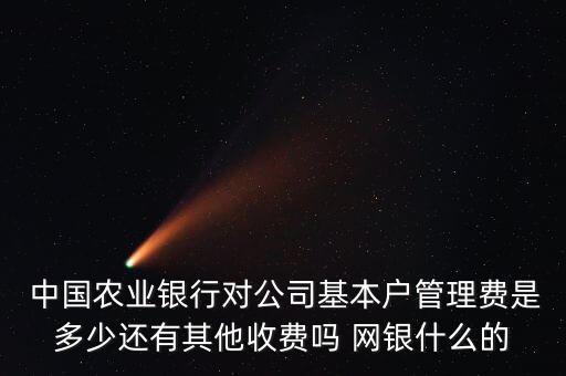  中國(guó)農(nóng)業(yè)銀行對(duì)公司基本戶管理費(fèi)是多少還有其他收費(fèi)嗎 網(wǎng)銀什么的