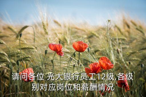 請問各位 光大銀行員工12級(jí),各級(jí)別對應(yīng)崗位和薪酬情況