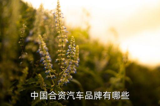 中國(guó)合資汽車(chē)品牌有哪些