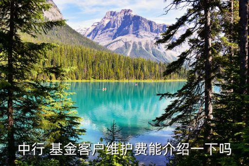 中行 基金客戶維護(hù)費(fèi)能介紹一下嗎