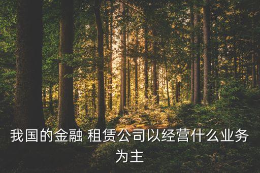 我國的金融 租賃公司以經營什么業(yè)務為主
