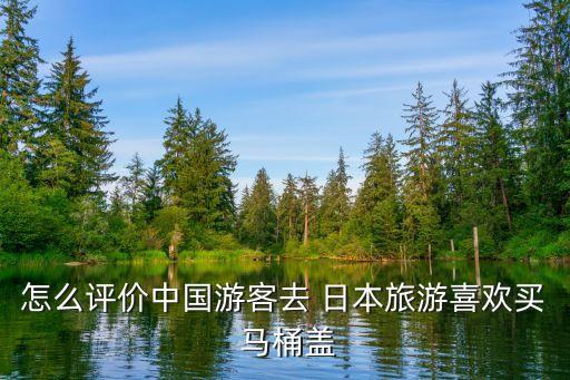怎么評價(jià)中國游客去 日本旅游喜歡買 馬桶蓋