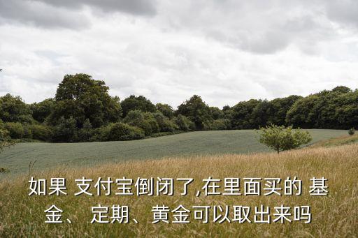 如果 支付寶倒閉了,在里面買(mǎi)的 基金、 定期、黃金可以取出來(lái)嗎
