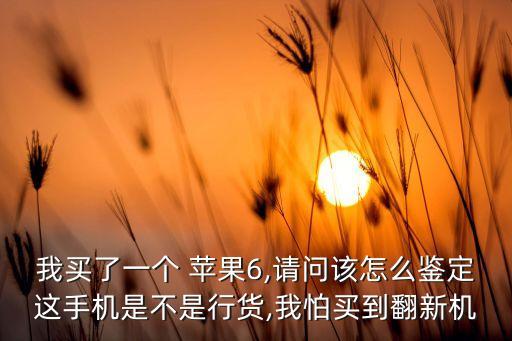 我買(mǎi)了一個(gè) 蘋(píng)果6,請(qǐng)問(wèn)該怎么鑒定這手機(jī)是不是行貨,我怕買(mǎi)到翻新機(jī)