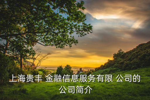 上海貴豐 金融信息服務有限 公司的 公司簡介