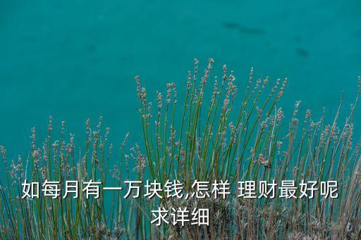 如每月有一萬(wàn)塊錢,怎樣 理財(cái)最好呢求詳細(xì)