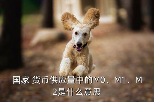 國家 貨幣供應量中的M0、M1、M2是什么意思