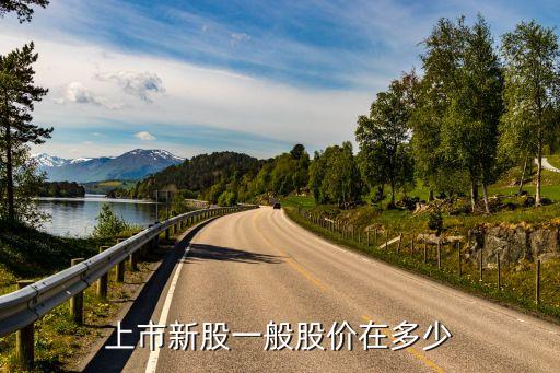上市新股一般股價(jià)在多少