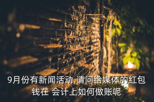傳媒公司會計制度,海爾集團(tuán)公司會計制度