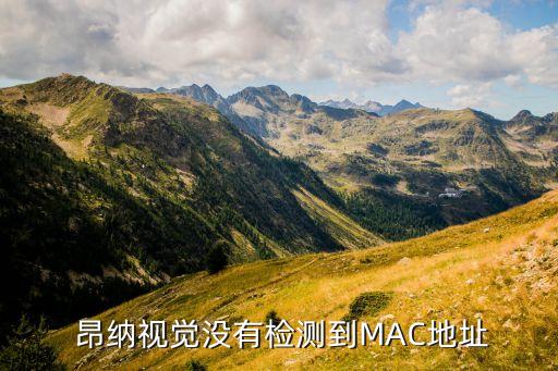  昂納視覺沒有檢測(cè)到MAC地址