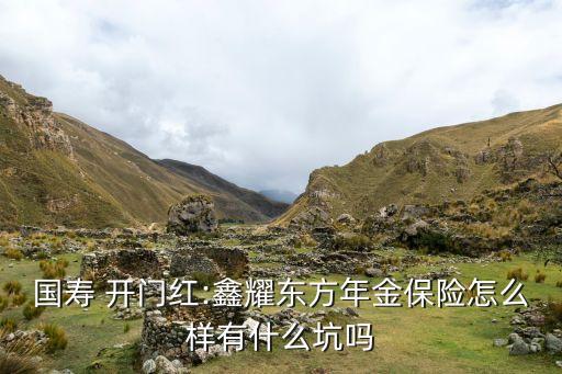 國(guó)壽 開(kāi)門紅:鑫耀東方年金保險(xiǎn)怎么樣有什么坑嗎