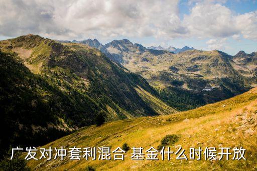 廣發(fā)對沖套利混合 基金什么時(shí)候開放