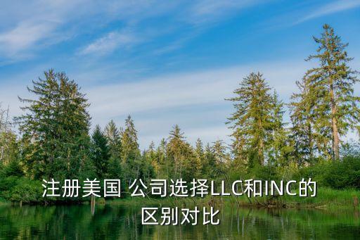 注冊(cè)美國 公司選擇LLC和INC的區(qū)別對(duì)比