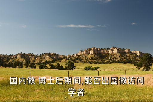 國(guó)內(nèi)做 博士后期間,能否出國(guó)做訪(fǎng)問(wèn)學(xué)者