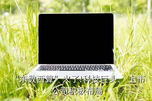 “東數(shù)西算”火了!科技巨頭、 上市 公司積極布局