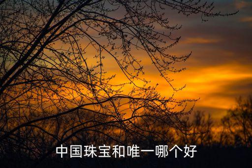 中國珠寶和唯一哪個(gè)好