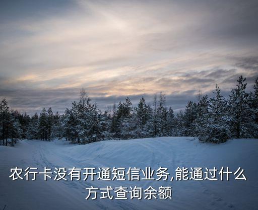 農(nóng)行卡沒有開通短信業(yè)務,能通過什么方式查詢余額
