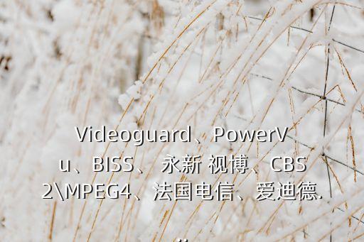 Videoguard、PowerVu、BISS、 永新 視博、CBS2\MPEG4、法國(guó)電信、愛迪德...
