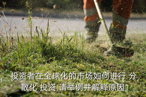  投資者在全球化的市場如何進(jìn)行 分散化 投資,請(qǐng)舉例并解釋原因