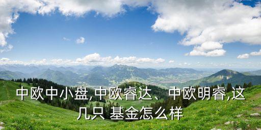 中歐中小盤,中歐睿達(dá)、中歐明睿,這幾只 基金怎么樣