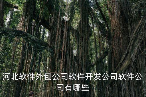 河北軟件外包公司軟件開(kāi)發(fā)公司軟件公司有哪些
