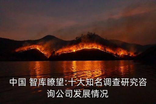 中國(guó) 智庫(kù)瞭望:十大知名調(diào)查研究咨詢(xún)公司發(fā)展情況