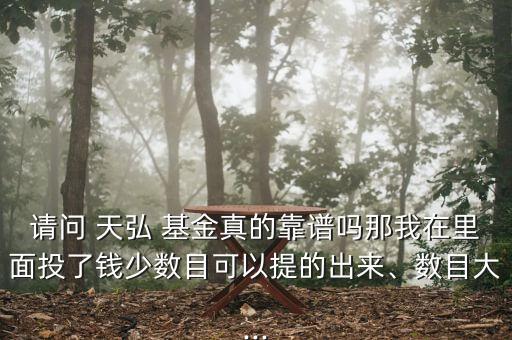 請問 天弘 基金真的靠譜嗎那我在里面投了錢少數(shù)目可以提的出來、數(shù)目大...