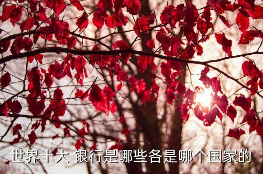 世界十大 銀行是哪些各是哪個(gè)國家的