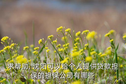 求幫助, 沈陽(yáng)可以給個(gè)人提供貸款擔(dān)保的擔(dān)保公司有哪些