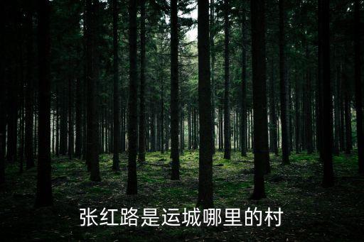 中國(guó)人壽總經(jīng)理是誰,山東省中國(guó)人壽總經(jīng)理